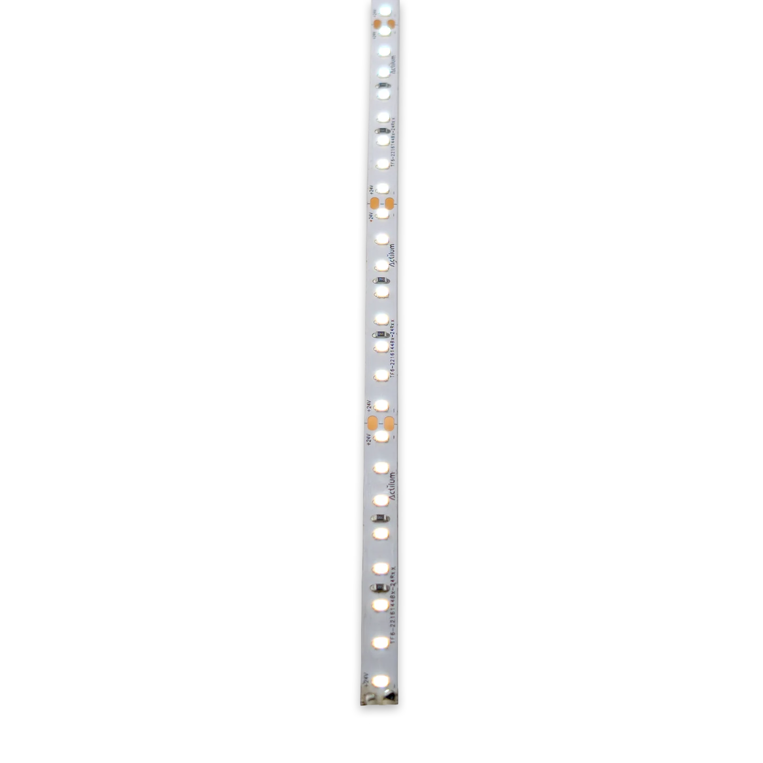 flex-144-rect-encendido